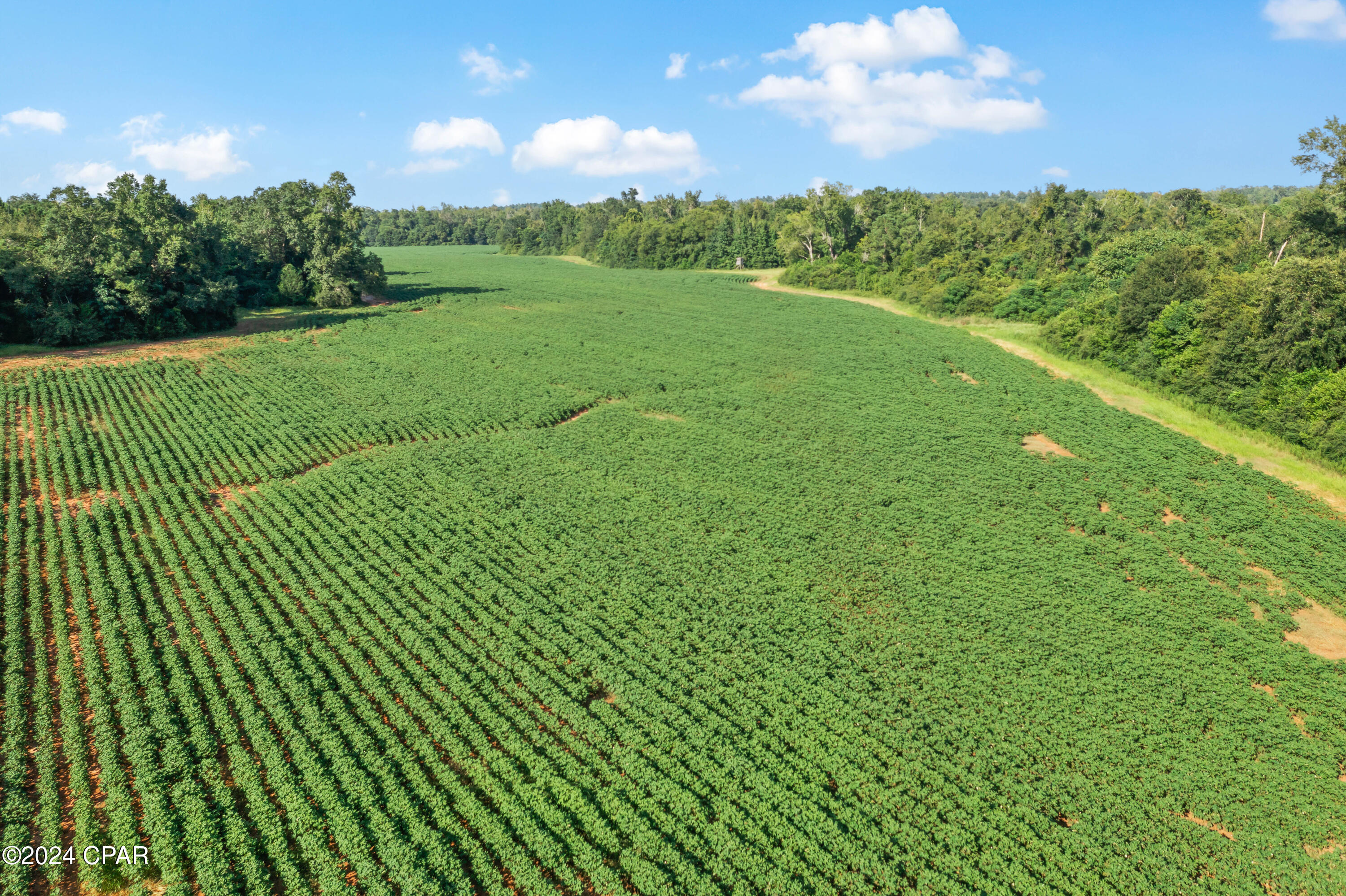 [No Recorded Subdiv] - Land