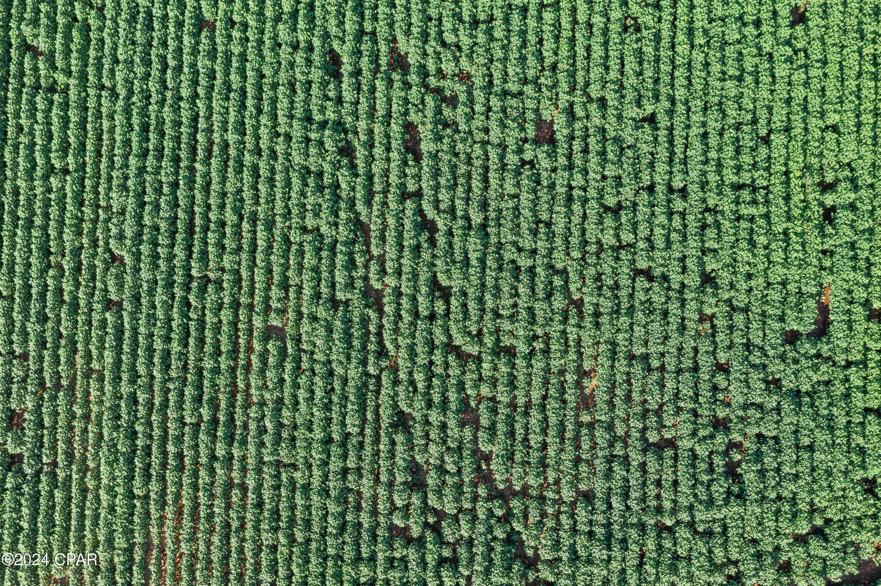 [No Recorded Subdiv] - Land