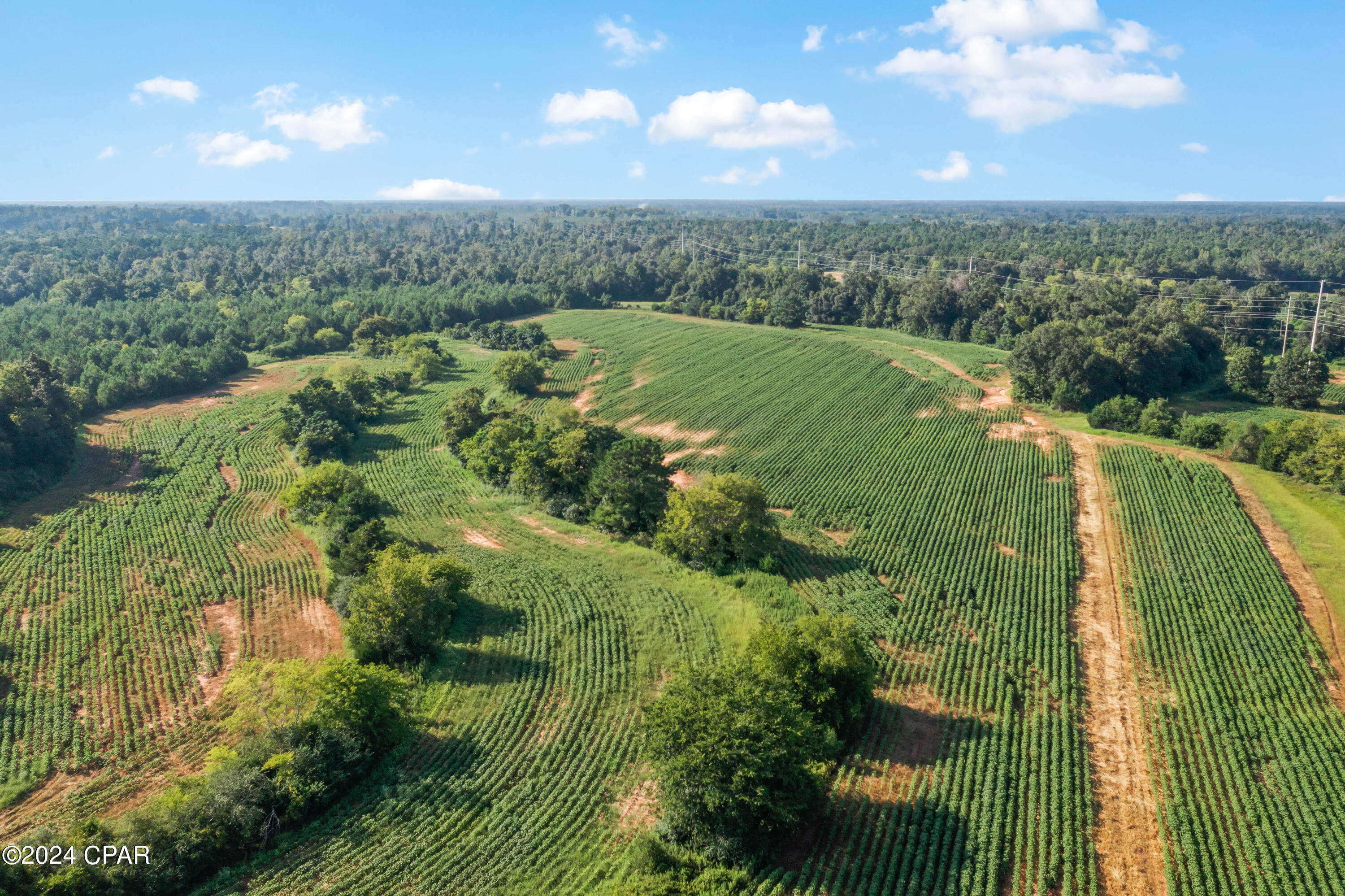 [No Recorded Subdiv] - Land