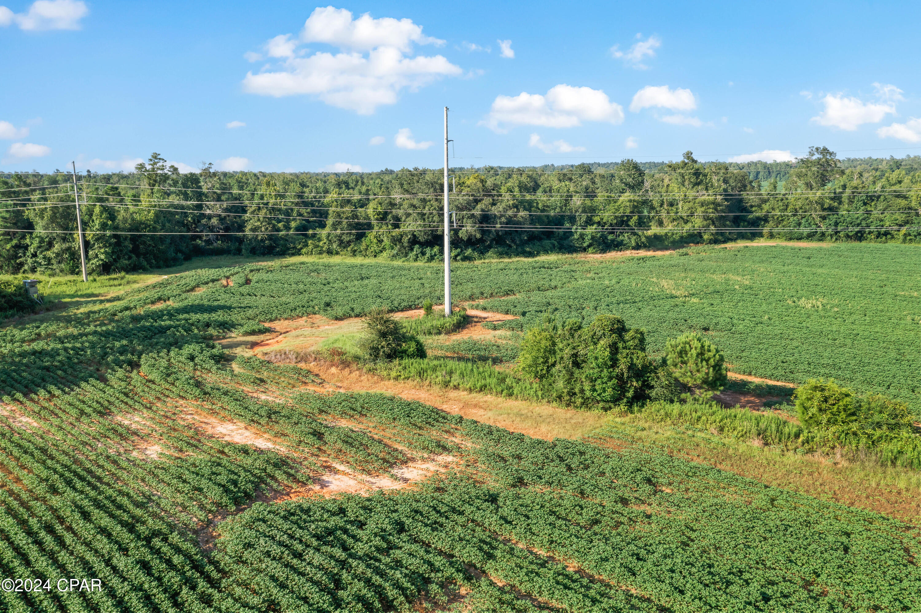 [No Recorded Subdiv] - Land