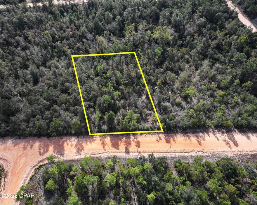 Build your dream home or bring your new mobile home to this beautiful 1+ acre lot in Compass Lake in the Hills. Enjoy the peace and quiet of country living while being less than an hour from Panama City and the Gulf beaches, and about 30 minutes from Marianna.

This property offers plenty of space for your home with easy access to all the community amenities and access to nearby McCormick Lake for fishing, boating, and relaxing by the water.
Voluntary HOA dues of just $135 per year give you access to all amenities. Come enjoy the privacy, space, and natural beauty of Compass Lake in the Hills!