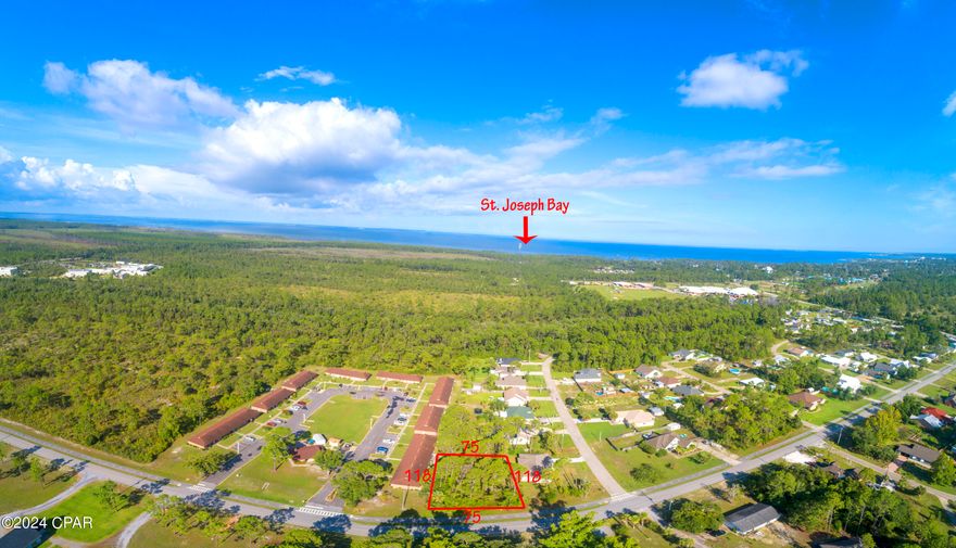 BEAUTIFUL READY-TO-BUILD HOME-SITE JUST UNDER 1/4 ACRE & MINUTES TO DOWNTOWN PORT ST JOE! In close proximity to schools, churches & recreational facilities, this quiet & serene neighborhood is the ideal setting for your family home. No Flood Insurance is required, NO HOA applies & only minor covenants & restrictions are in place. Golf cart transportation is all you need to visit area businesses for fresh seafood, shopping & native artistry or just a short drive away are sugar-white sand beaches & the Gulf of Mexico. The Forgotten Coast attracts boating & fishing activities from locals & tourists alike. A community boat ramp is nearby & preparations are underway for a state-of-the-art dry storage facility to hold an impressive 252 boats. Call for a tour of the area & present your offer on this property today!