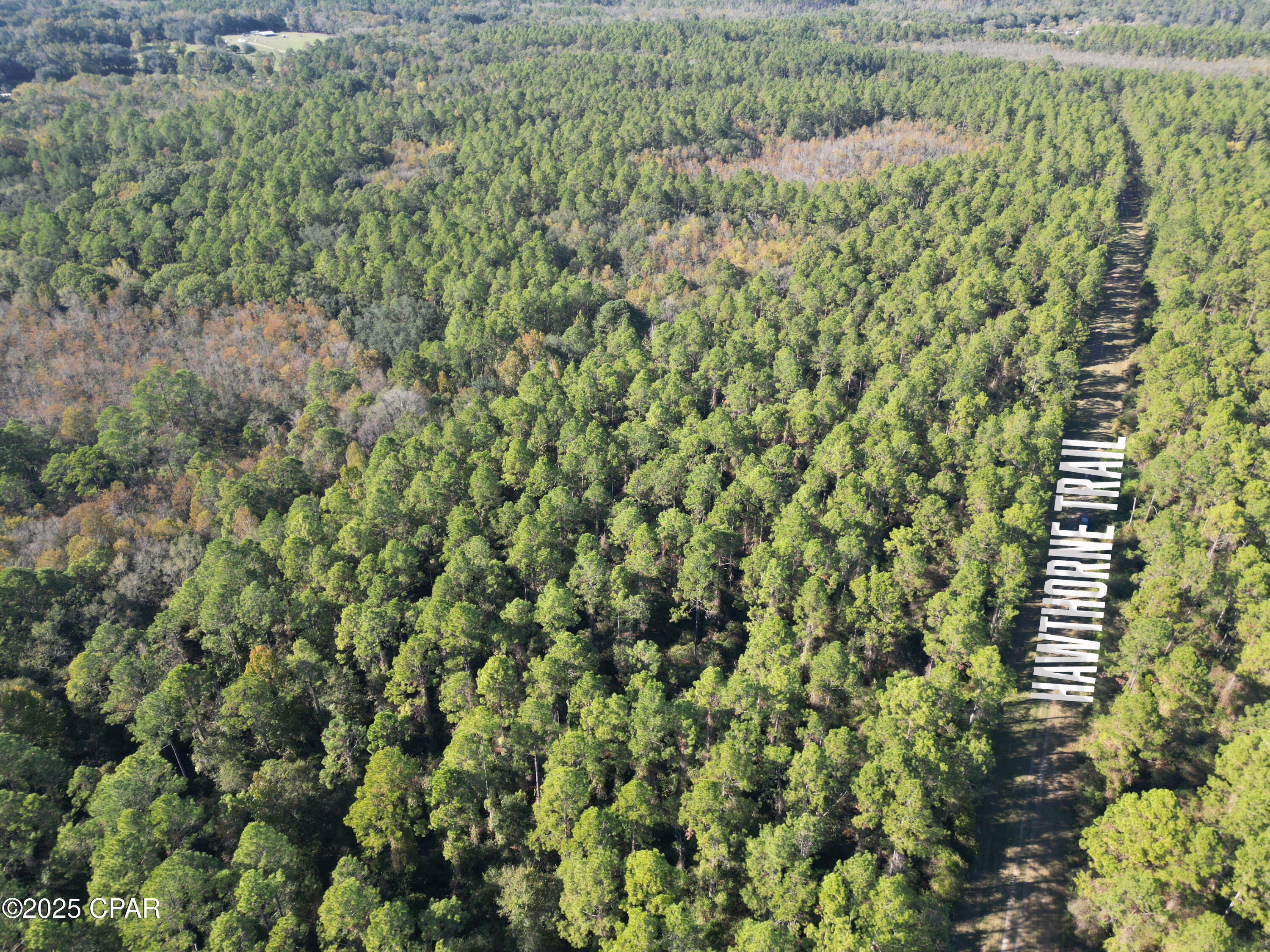 Canopy Crossing - Land