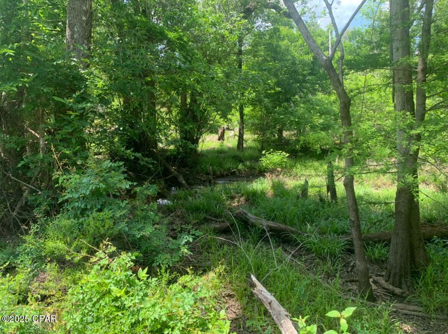 MLS Entry Only, Off market 2 parcel sale including parcel #32-1N-09-0100-0000-1200 totaling 16 acres Chipola River Waterfront