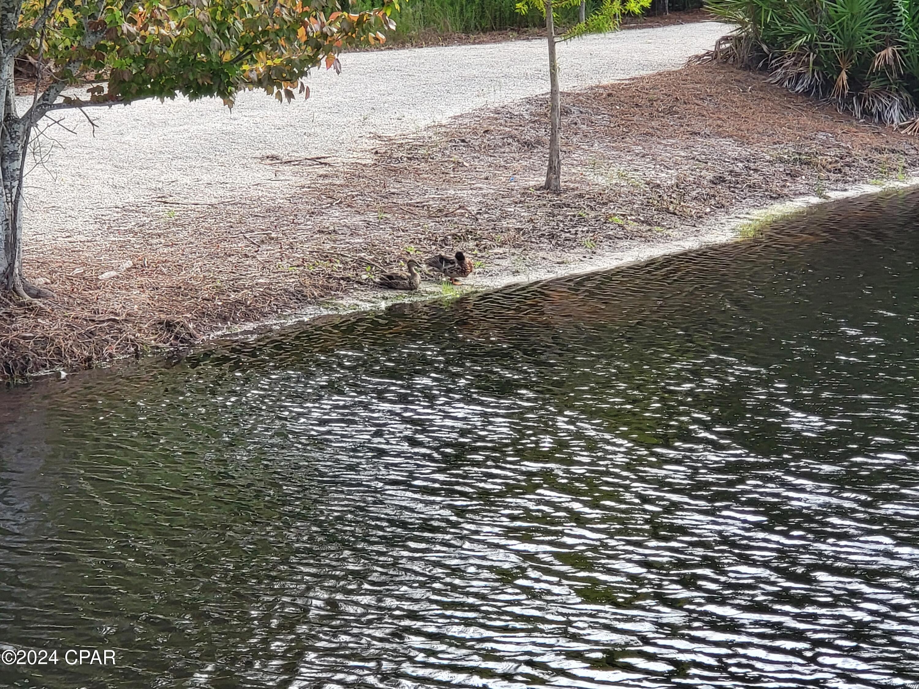 Martinique Phase II - Land