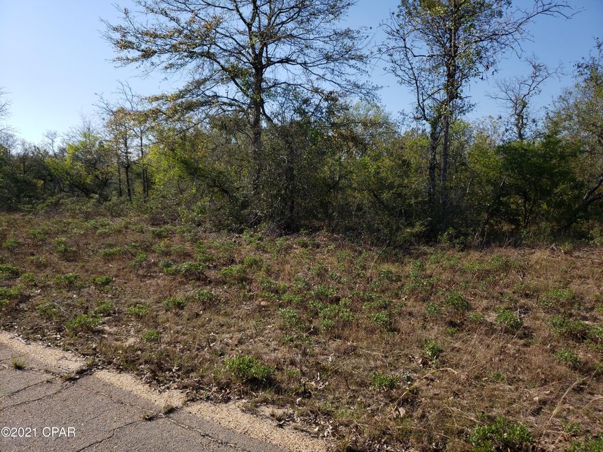 Nice building lot in Sunny Hills. Lot is wooded. Not far from White Double Pond.