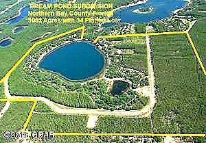 Bream Pond - Land