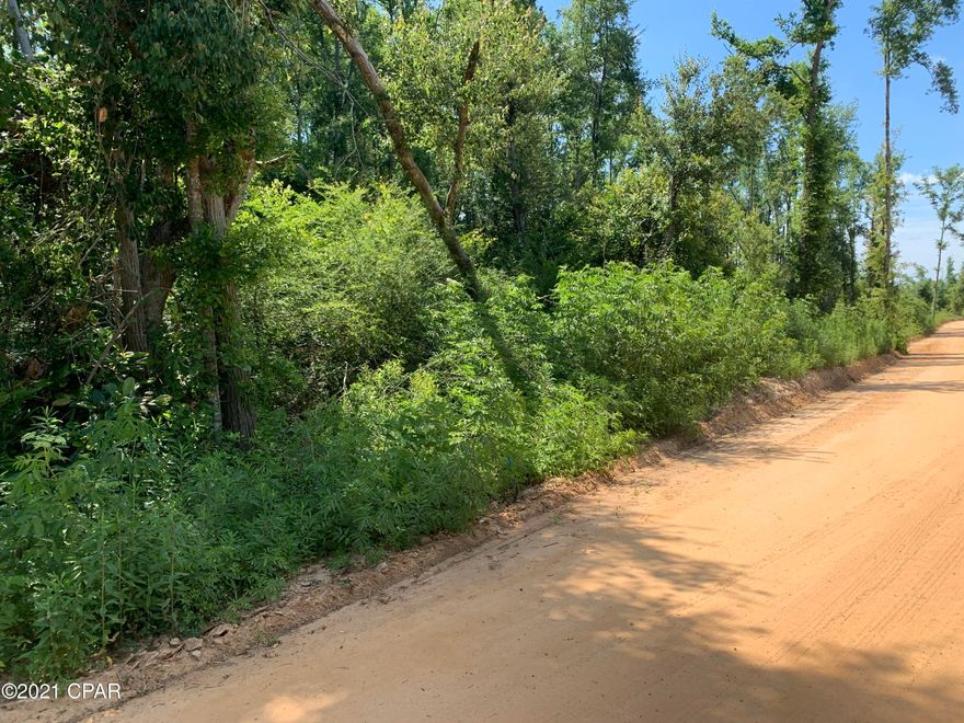 Restricted to site built homes or NEW mobile homes! Nice home site in country setting. 45 mins to Panama City Beach. Property will need to be surveyed.
