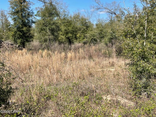 SPEIGHTS WAY, BASCOM, FL 32423 - Image cdf0e2b801236ecb1124feec5fc45077/1090148895