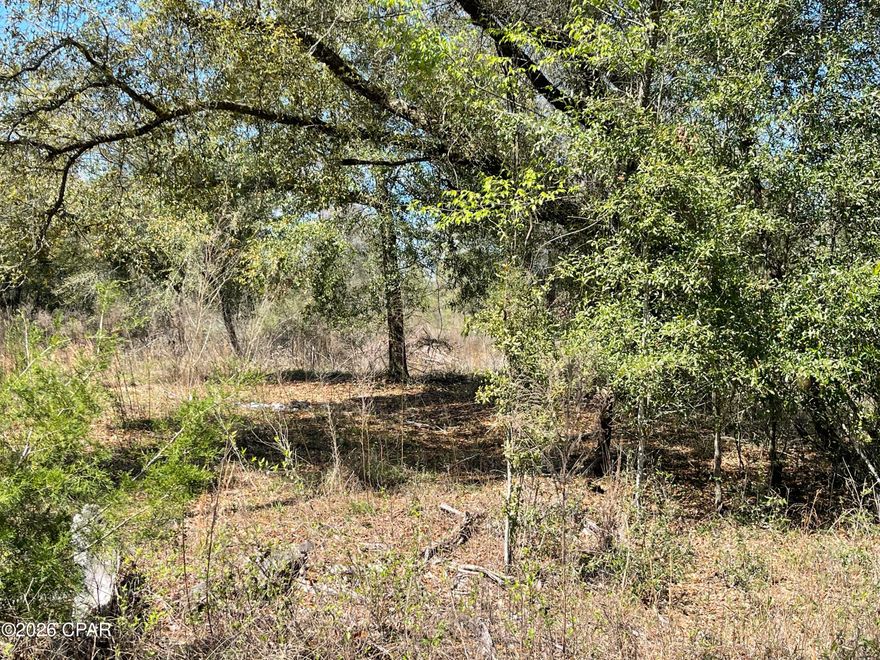 This parcel is ideally situated within a larger 30-acre tract divided into three 10-acre homesites. Positioned between two established residences, the property offers a unique blend of privacy and peace of mind, with neighboring homes nearby for added comfort. Enjoy the space and seclusion of a larger parcel while still benefiting from a sense of community. Speights Way is about 20/25 minutes from downtown Marianna and 25/30 minutes to the Marianna Walmart. Dothan, Alabama, is about 50 minutes away, and the white sands of Panama City Beach is about an hour and a half drive.