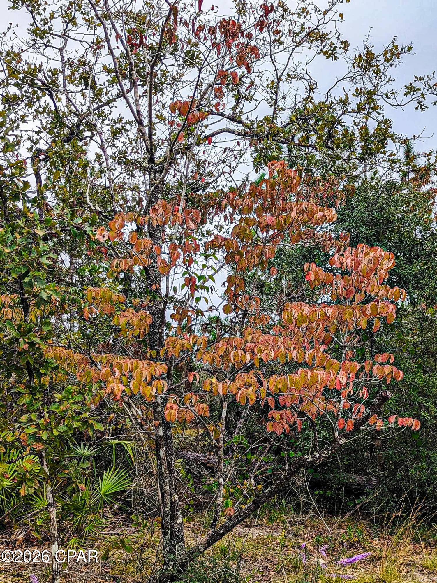 [No Recorded Subdiv] - Land