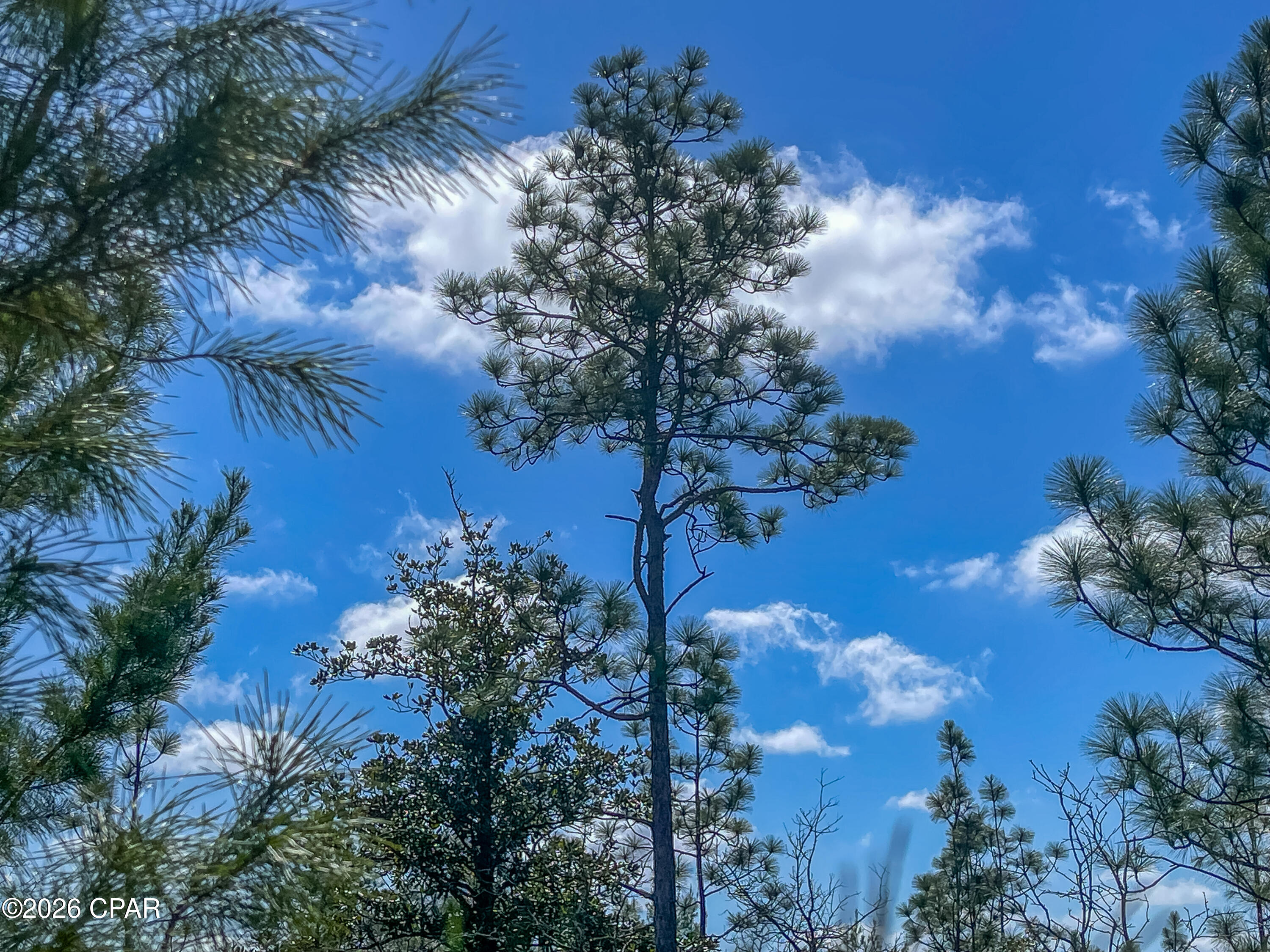 [No Recorded Subdiv] - Land