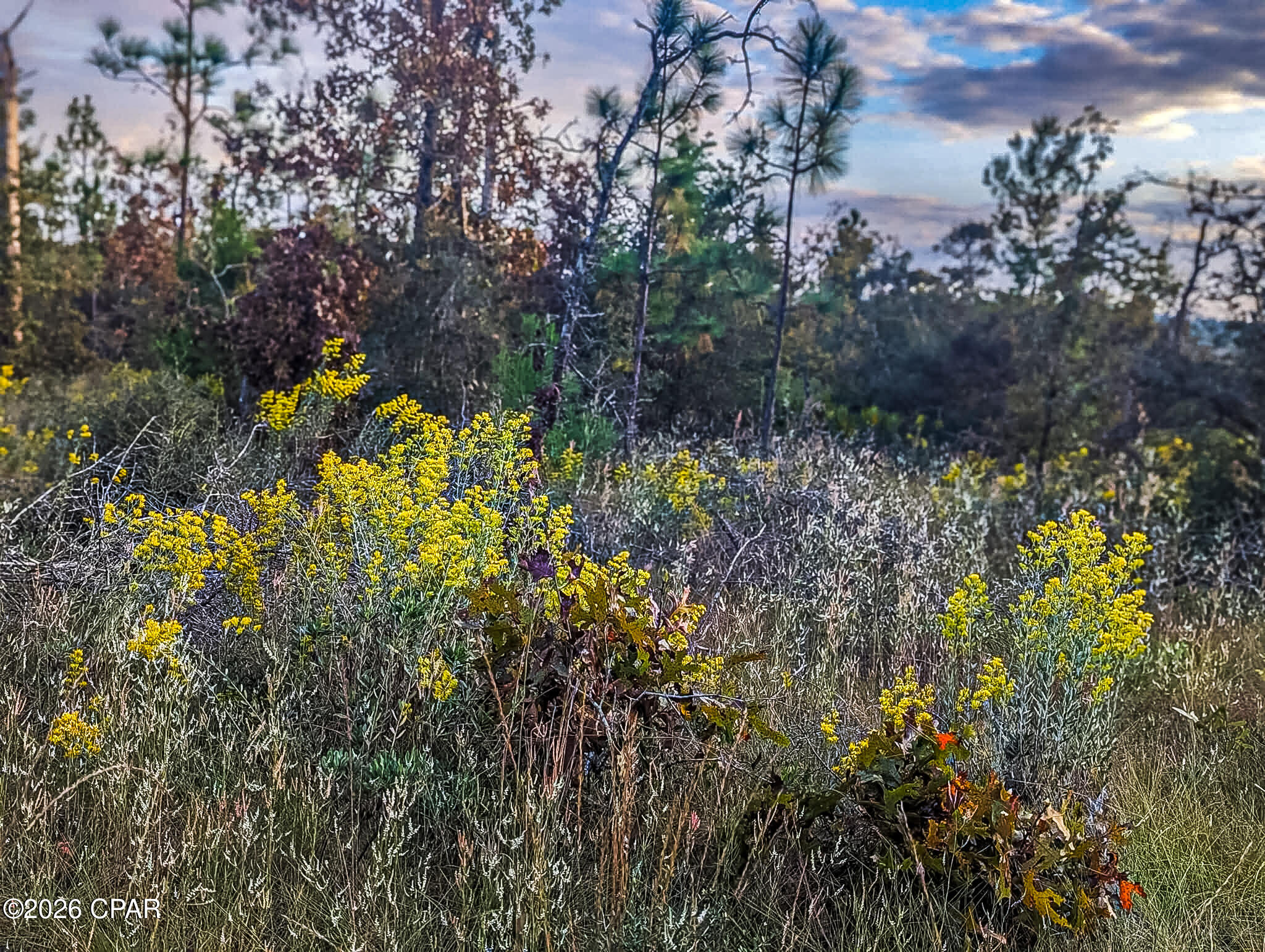 [No Recorded Subdiv] - Land