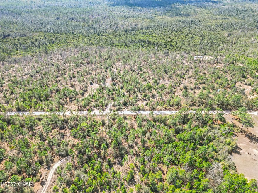 Discover the potential of this 10± acre wooded parcel in Altha, Florida, offering privacy, natural beauty, and excellent opportunities for a homesite, homestead, hunting property, or recreational retreat. The land is high and dry and covered with mature timber, providing shade, seclusion, and the flexibility to clear exactly the space you need for your future home.
With power already available on the property, getting started on your plans will be much easier. Whether you're looking to build a country home, place a mobile home, start a small farm, or simply own a piece of land for weekend recreation, this property offers the freedom and space to make it your own.
Wildlife is abundant in the area, making it appealing for those who enjoy hunting, nature watching, or simply living surrounded by North Florida's natural landscape.
Conveniently located just 1.4 miles from County Road 167 and approximately 4 miles from Highway 231, you can enjoy peaceful rural living while still being within reasonable distance of nearby towns and amenities.
If you're searching for affordable acreage in the Florida Panhandle, this property offers a great opportunity to own land in the desirable Altha area of Calhoun County. Call today for more information.

Property Highlights
• 10± acres of wooded land with mature timber
• high and dry property
• power available on the property
• abundant wildlife - great for hunting or recreation
• ideal for homesite, homestead, or rural retreat
• located on a well-maintained county road
• peaceful country setting with privacy