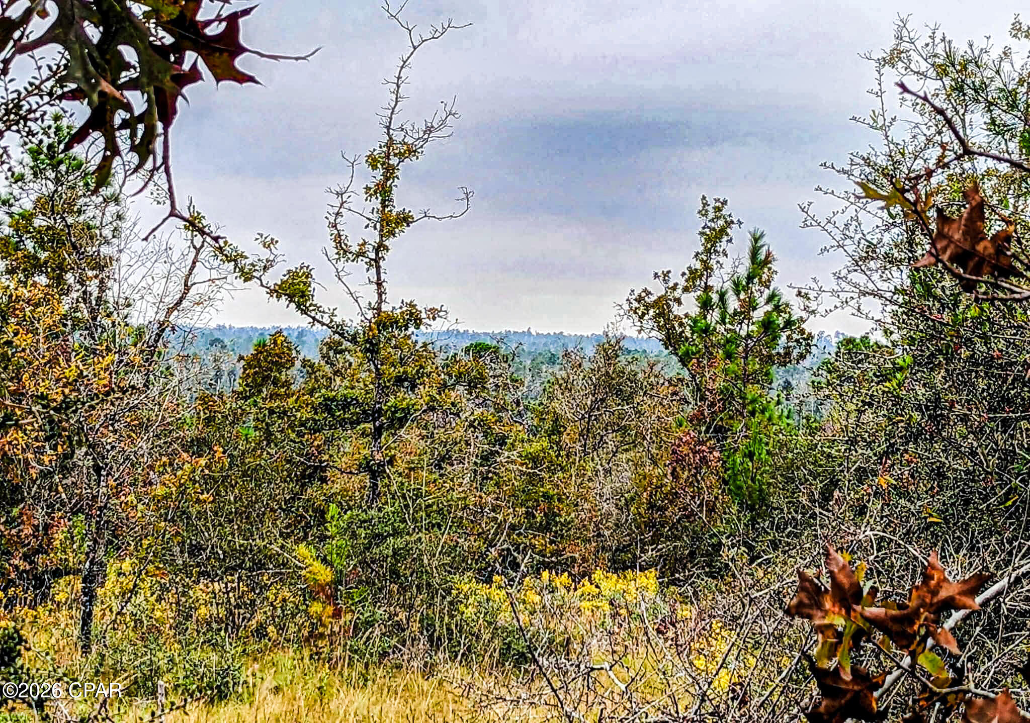 [No Recorded Subdiv] - Land