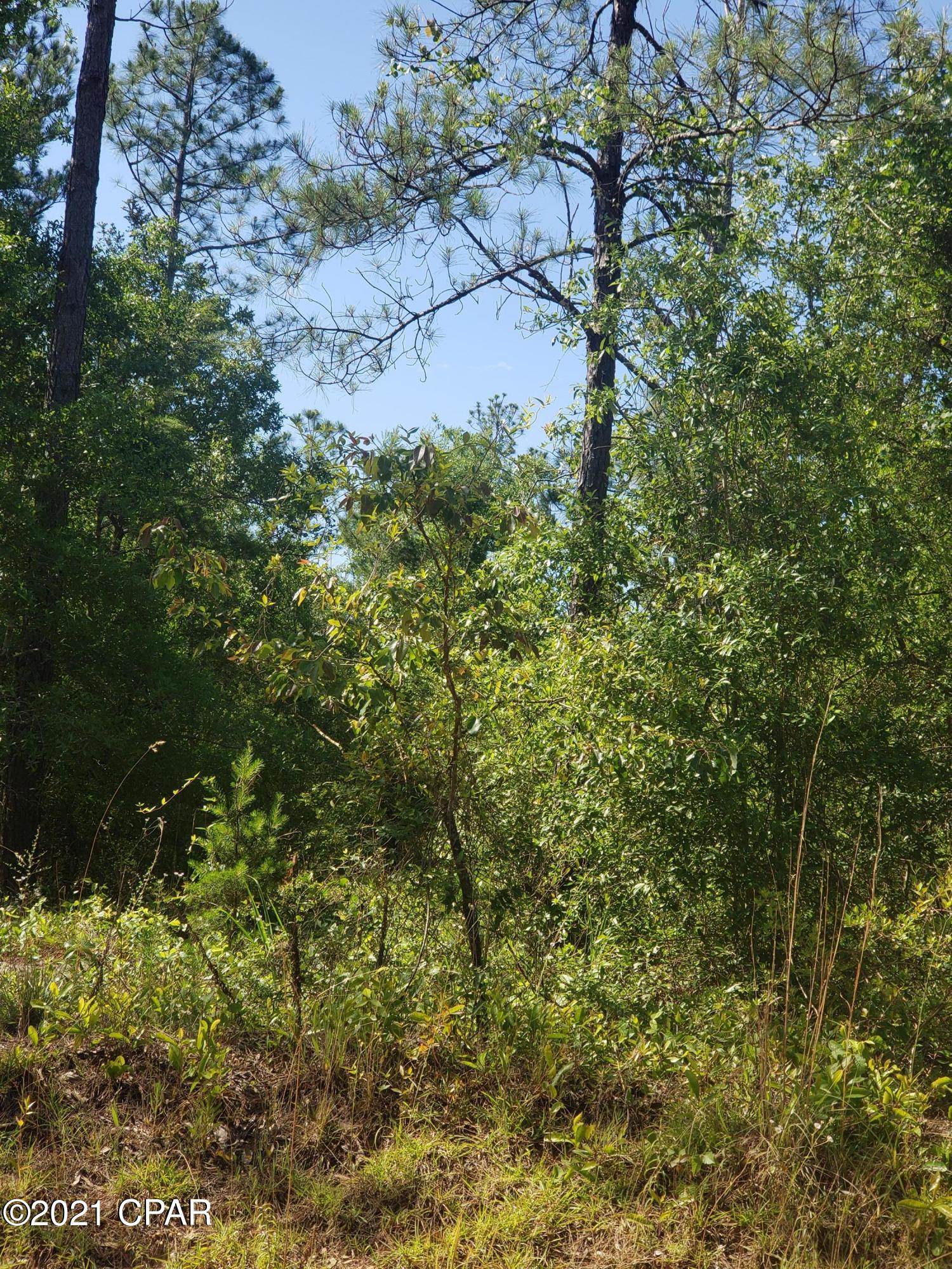 Compass Lake Hills Unit 5 - Land