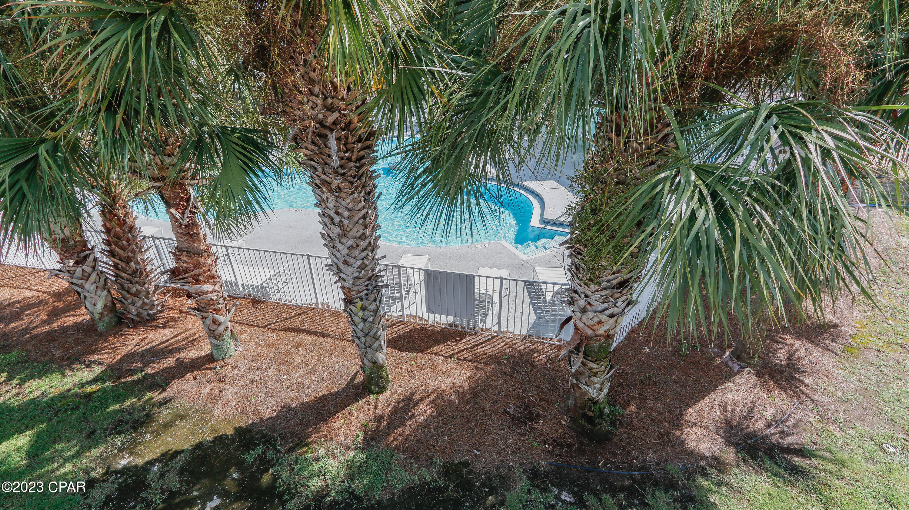 Palm Cove - Residential