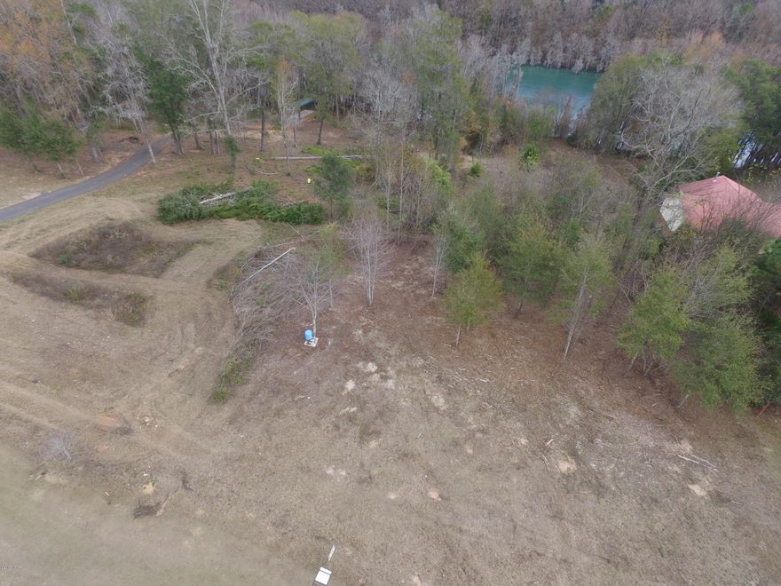 Beautiful WATERFRONT LOT on Merritt's Millpond in Spring Chase subdivision! This lot would make a great home site and has approximately 95 feet of frontage on the water. Build your dream home on one of Jackson Counties most popular destinations!