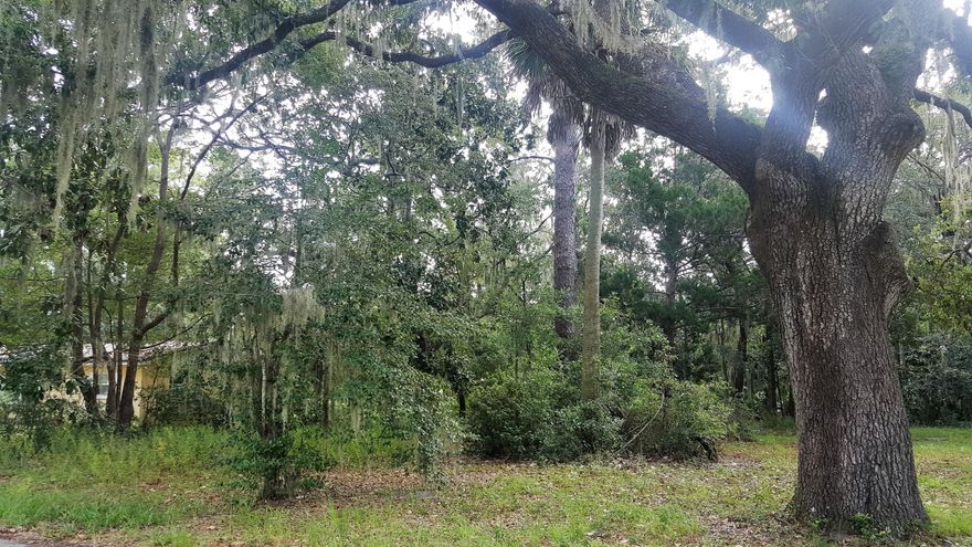 Great Building lot in highly desired Lynn Haven! Close to Schools, Doctors, Hospitals, Boat Ramp and so much more! Located in ''X'' flood zone so no flood insurance required!  All information and measurements should be verified by buyer or buyers agent if important.  Thank you for considering this lot!