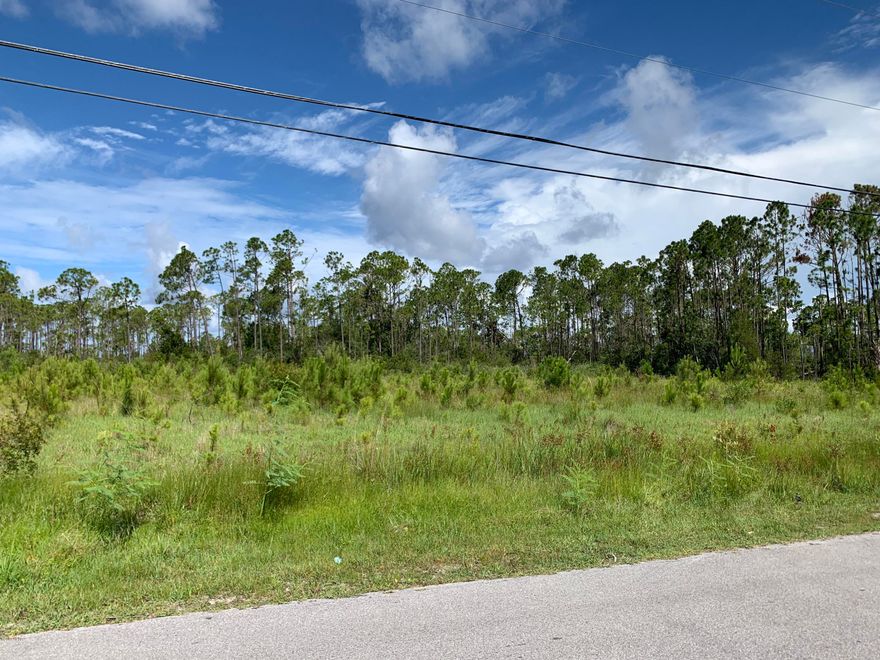 Over half an acre located in desirable neighborhood to build your dream home on. Purchase the North lot as well and you will have an acre to build on.
