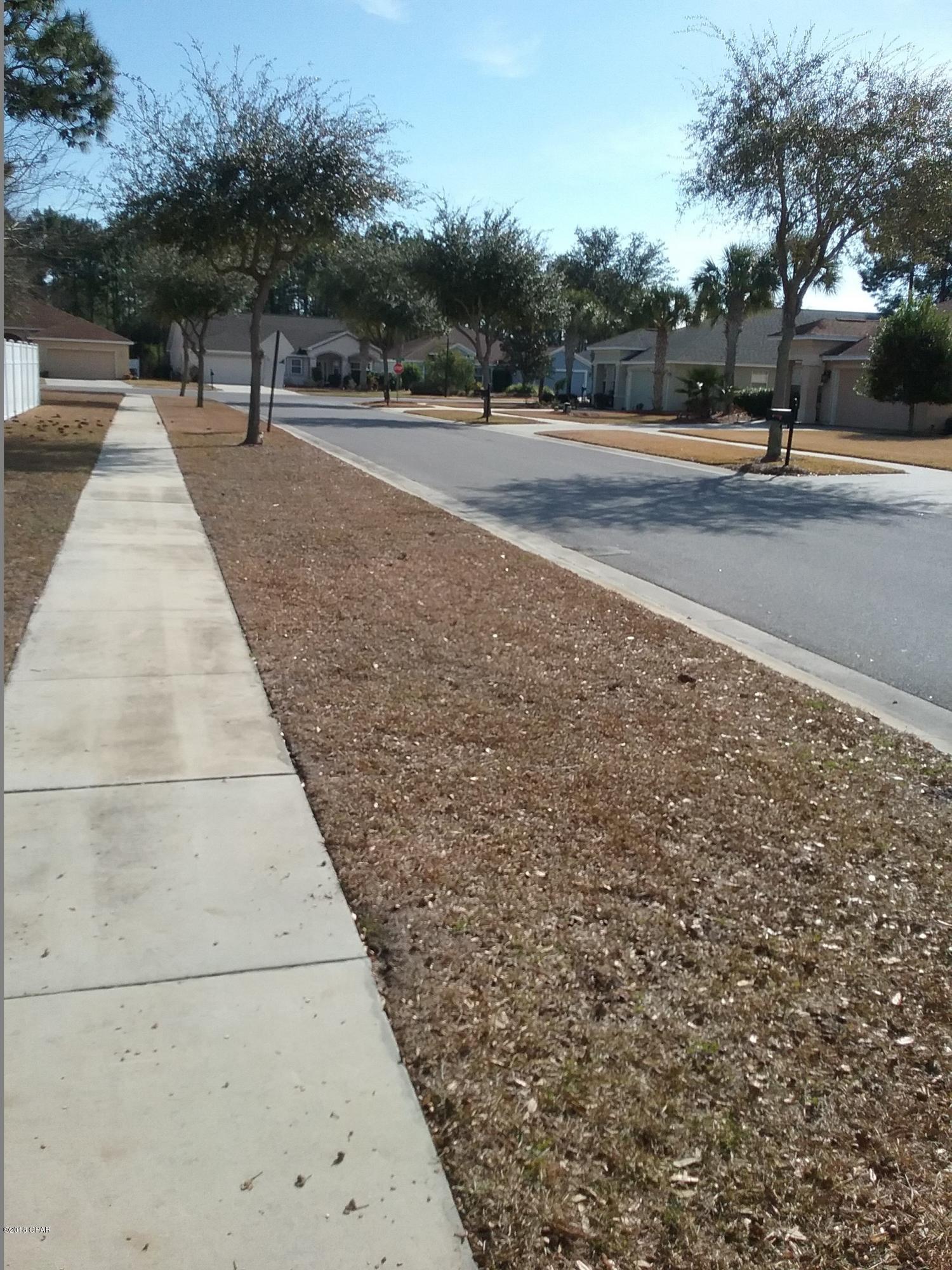 Palmetto Trace Phase III - Residential