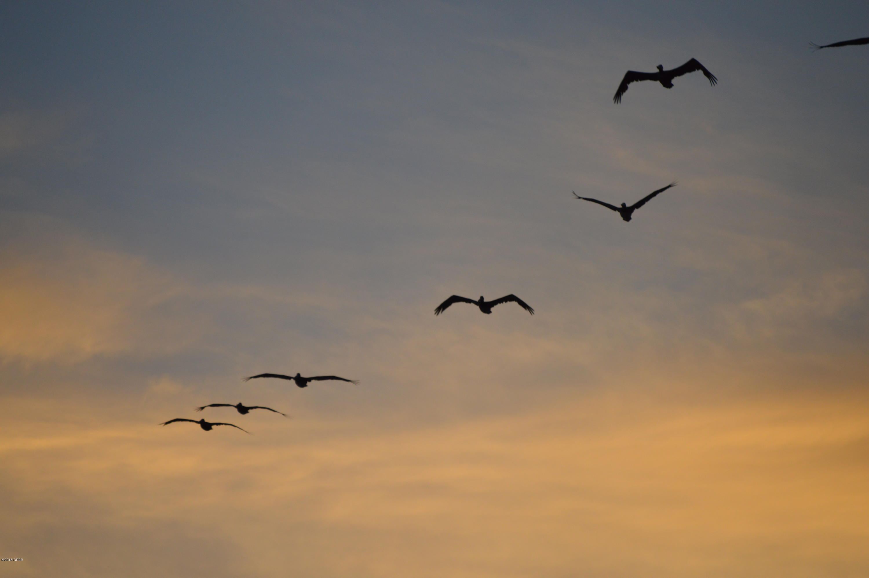 Majestic Beach Tower I - Residential