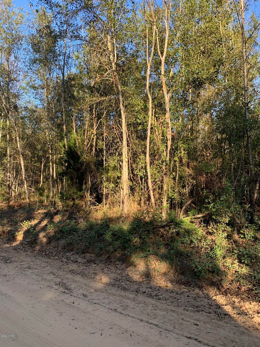 Are you looking for acreage to build your new home? Look no further you have found it! 2.5 acres to pick the best location for your homesite. Owner financing available w credit application to help get you on your way to living your best life.