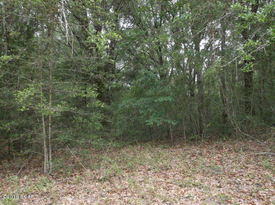 Beautiful, wooded, 1 acre lot in Compass Lake in the Hills. Lot is on the highest elevation in subdivision. Ownerhip includes access to two lakes, fishing, swimming, tennis courts, stables, club house, RV park, and much more. The property is located just south of Marianna and less than 50 miles to Panama City. This would be a beautiful spot for a permanent home, or a vacation retreat.Drive by and look at the property and/or give us a call.