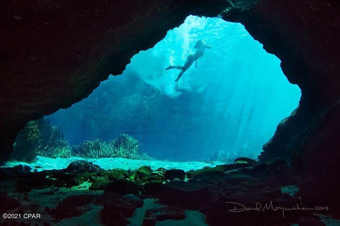 Merritt Heights - Land