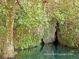 Merritt Heights - Land