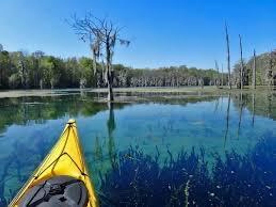PLEASE DO NOT TRESPASS ON NEIGHBORS ROPERTY!!! 1.4 ACRES AND 114 FEET WATERFRONT ON MERRITTS MILL POND!! 

A 202-acre reservoir fed mostly by one spring named Blue Spring or Jackson Blue. Considered to be one of the most beautiful springs to explore by divers, Jackson Blue's main vent is a limestone cave close to 5,000 ft. in length. It is a first magnitude spring, discharging an average of about 76 million gallons a day, and is the head waters of Merritt's Mill pond. There is Blue Springs recreation area where families, marathoners, divers and more enjoy the beauty of the crystal clear water. This is a highly desirable place to build a new home. This lot is as is and will need to be cleared.