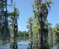 Merritt Heights - Land