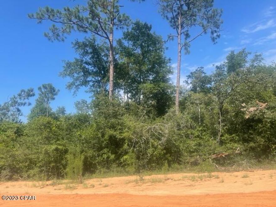 This is an ed lot in beautiful Compass Lake in the Hills priced to sell!  It is just off of paved Nortek Blvd .  This is a beautiful area for peaceful living in an area that is filled with wildlife - deer, turkey, birds and butterflies.   You have easy access south to Panama City on the Gulf Coast and north to Marianna for shopping,  This lot is zoned for houses and modular homes only.  There are two restaurants near by.