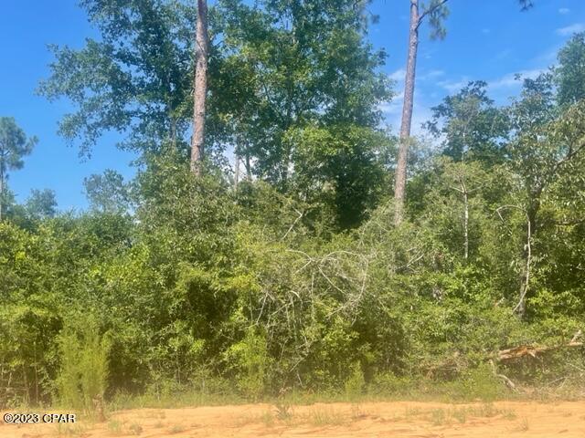 Compass Lake Hills Unit 3 - Land