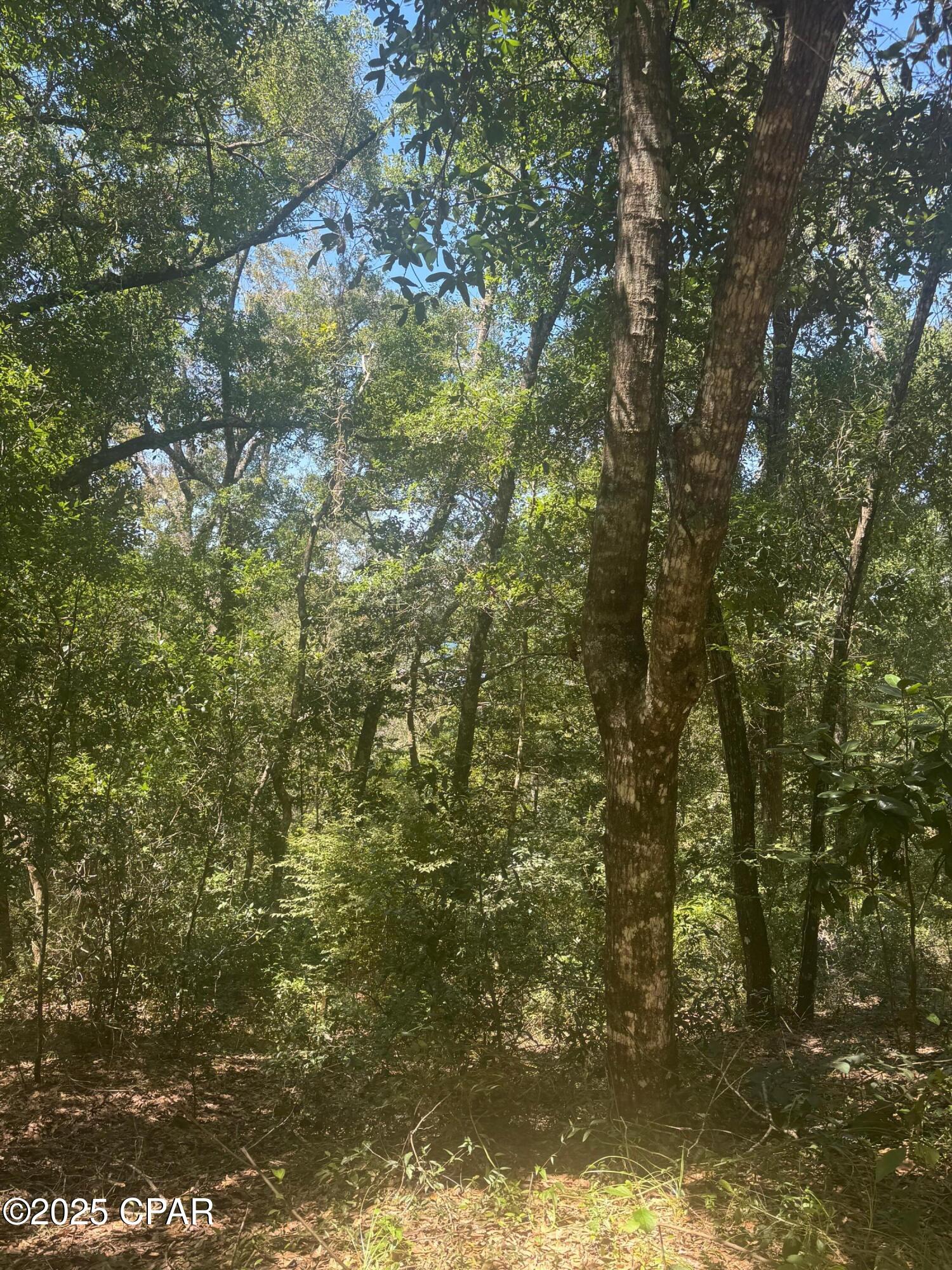 Leisure Lakes - Land