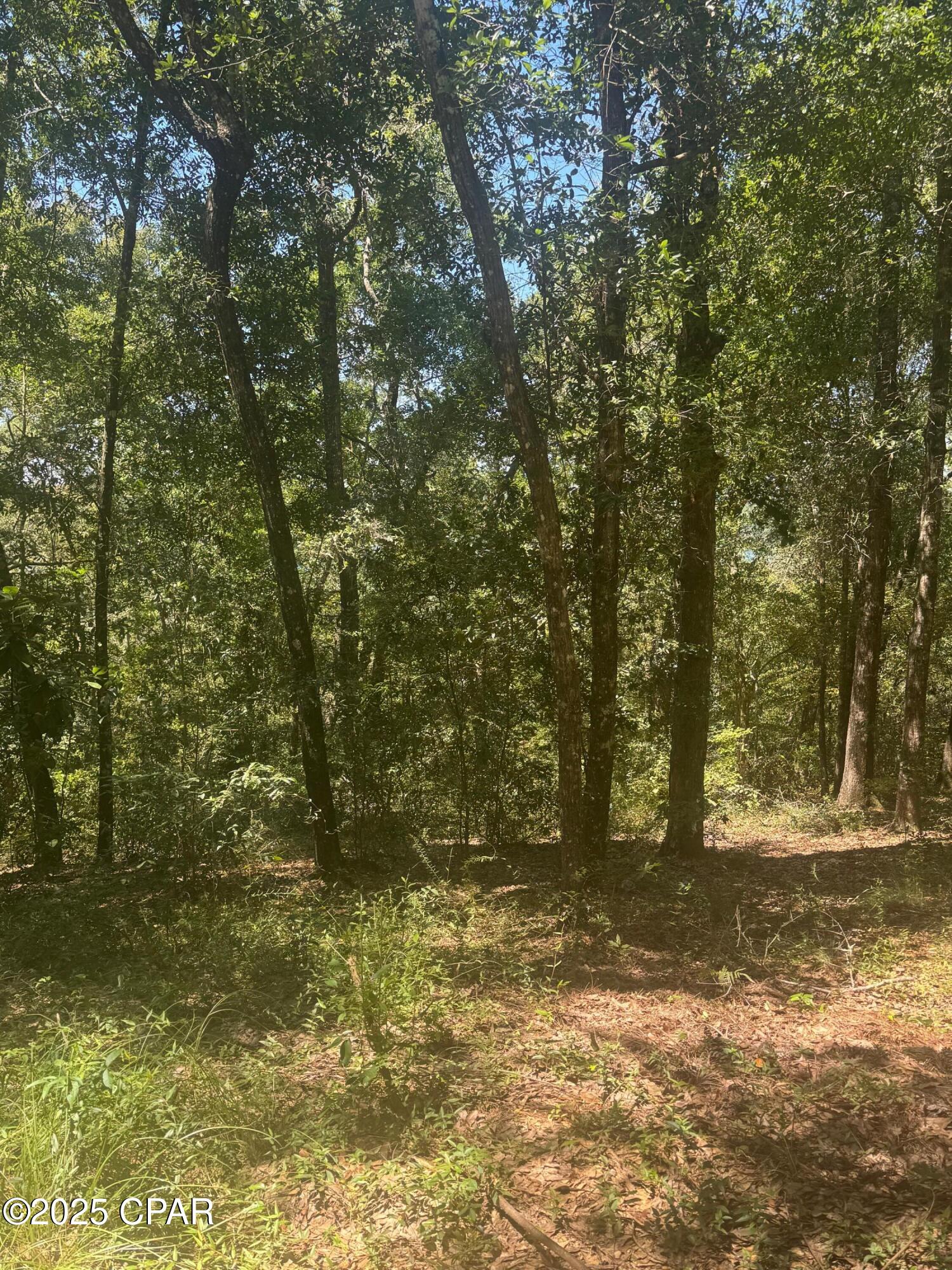 Leisure Lakes - Land