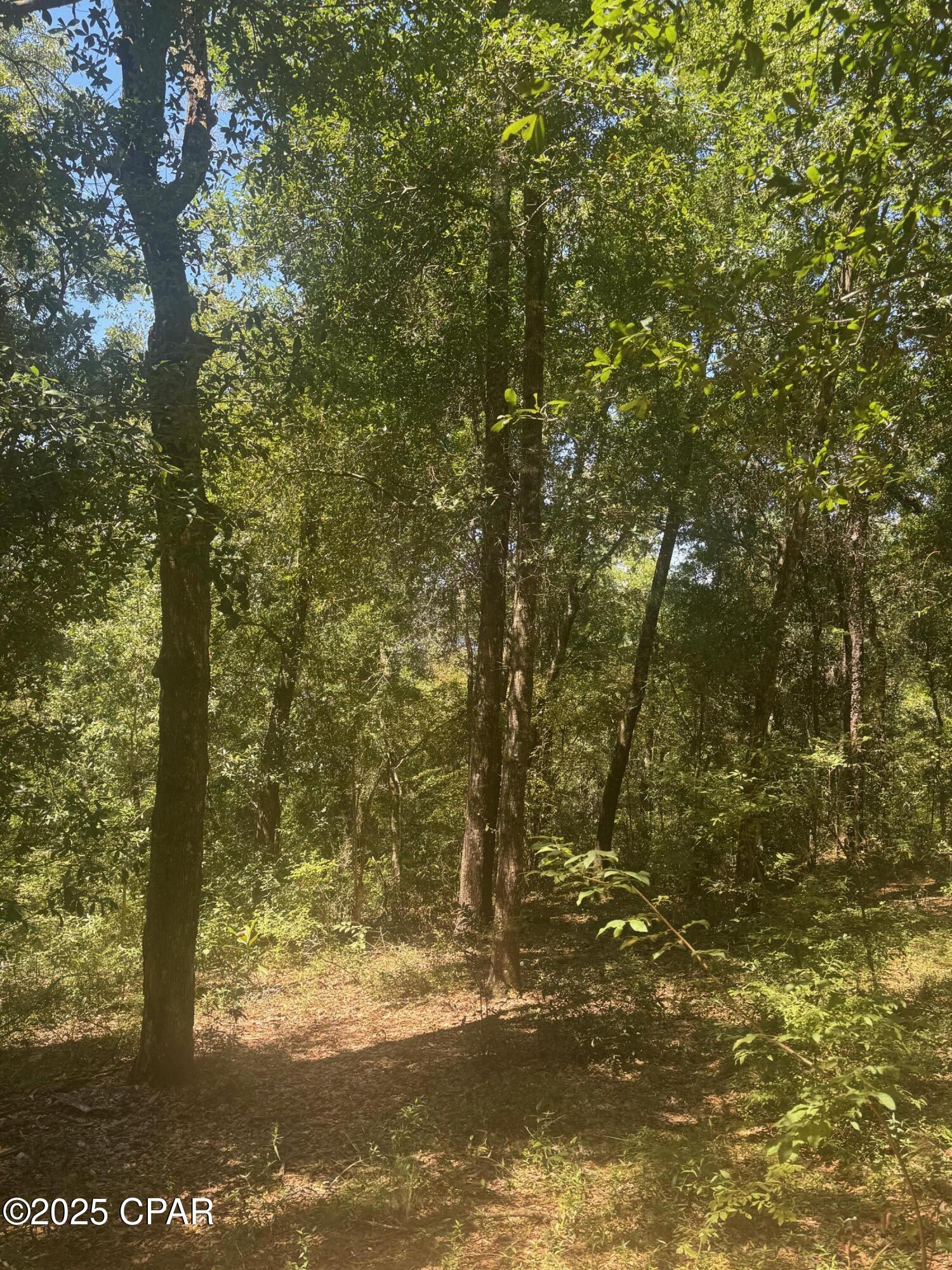 Leisure Lakes - Land