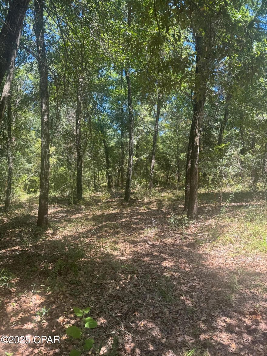 Build your dream retreat on this beautiful waterfront lot on a quiet Cul-d-sac in the desirable Leisure Lakes Community. With peaceful views and direct water frontage, this property offers the perfect setting for fishing, kayaking or simply relaxing by the shore.
This lot provides plenty of space for your custom home, with room for outdoor living areas, gardens or even a private dock.
Leisure Lakes is known for its serene atmosphere, natural beauty and access to multiple lakes, making it ideal for both full-time living or a weekend getaway.
Make plans to see this one today and get your dream life started!