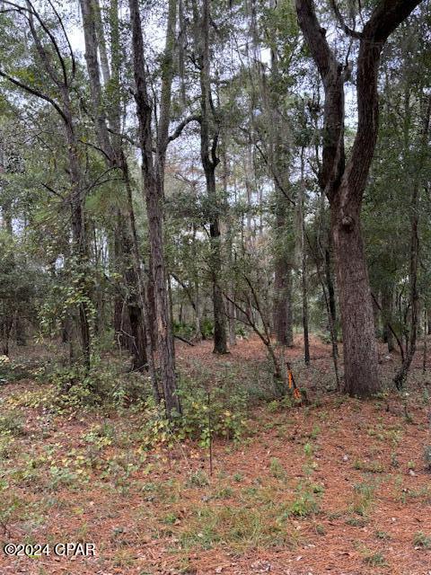 Dunford Haven II - Land