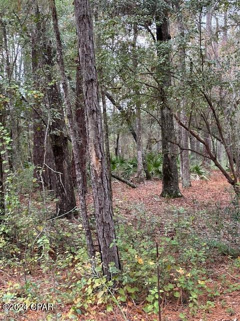 Dunford Haven II - Land