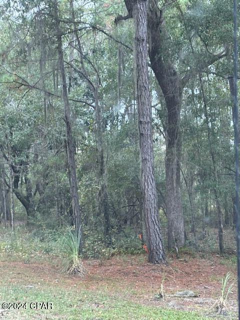 Dunford Haven II - Land