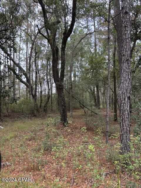 Dunford Haven II - Land