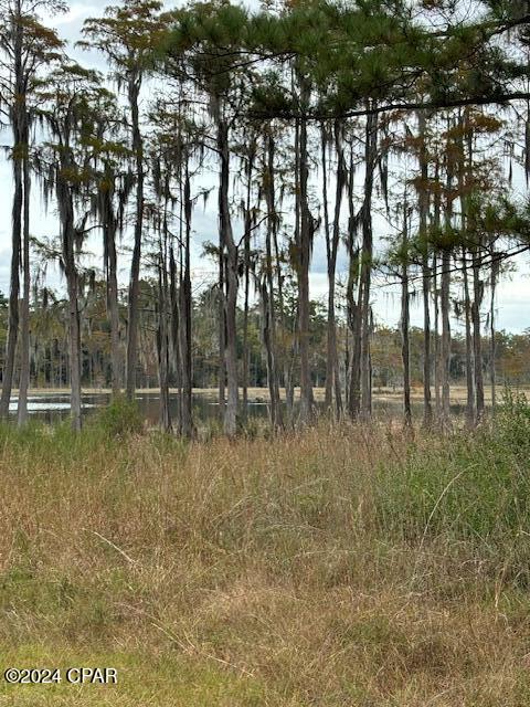 Dunford Haven II - Land