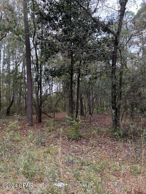 Dunford Haven II - Land