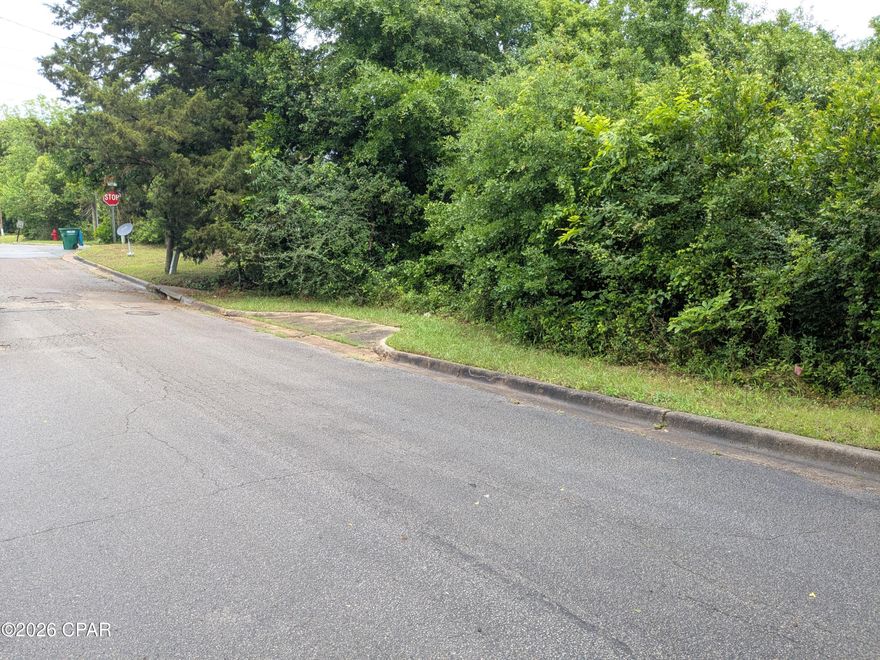 Nice wooded lot on paved st in Marianna. City  
water and sewer available and could be a great lot to build on..
