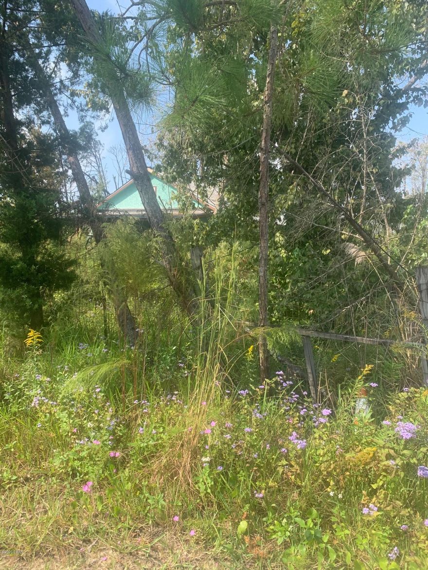 The value is in the lot and location which is tucked away off of the main roads.  There is a home on the property that needs lots and lots of TLC or removed.