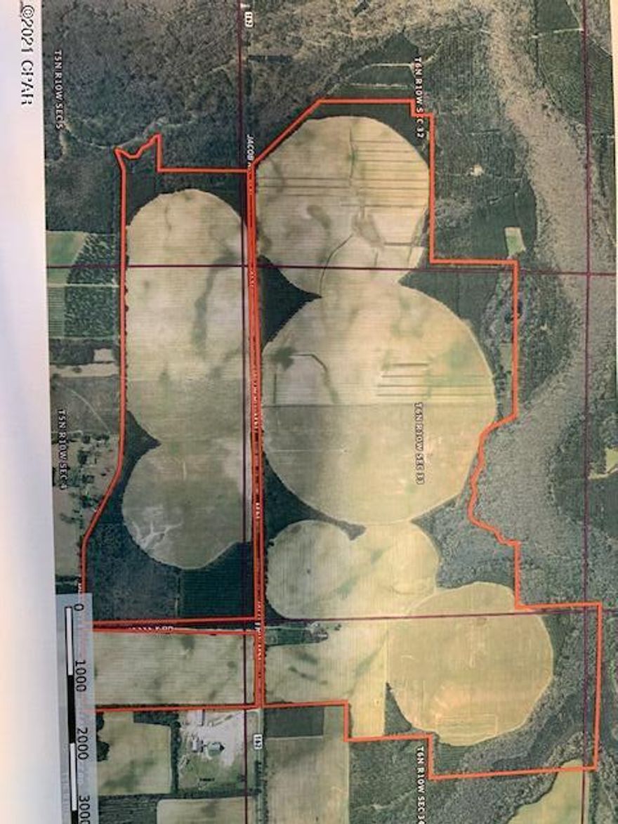 710 Acres under center pivot irrigation, 105 acres of dry land cultivation, 172 acres of replanted pines, 2 years old. 253 acres of hardwoods NA natural pines. Estimated that 150 additional acres can be placed under center pivot irrigation. 

Improvements: small frame house, metal barns, equipment shed, 1-4 inch well with upright tank



Established farm for row crops. Paved Rd frontage! Excellent water aquifer for irrigation.