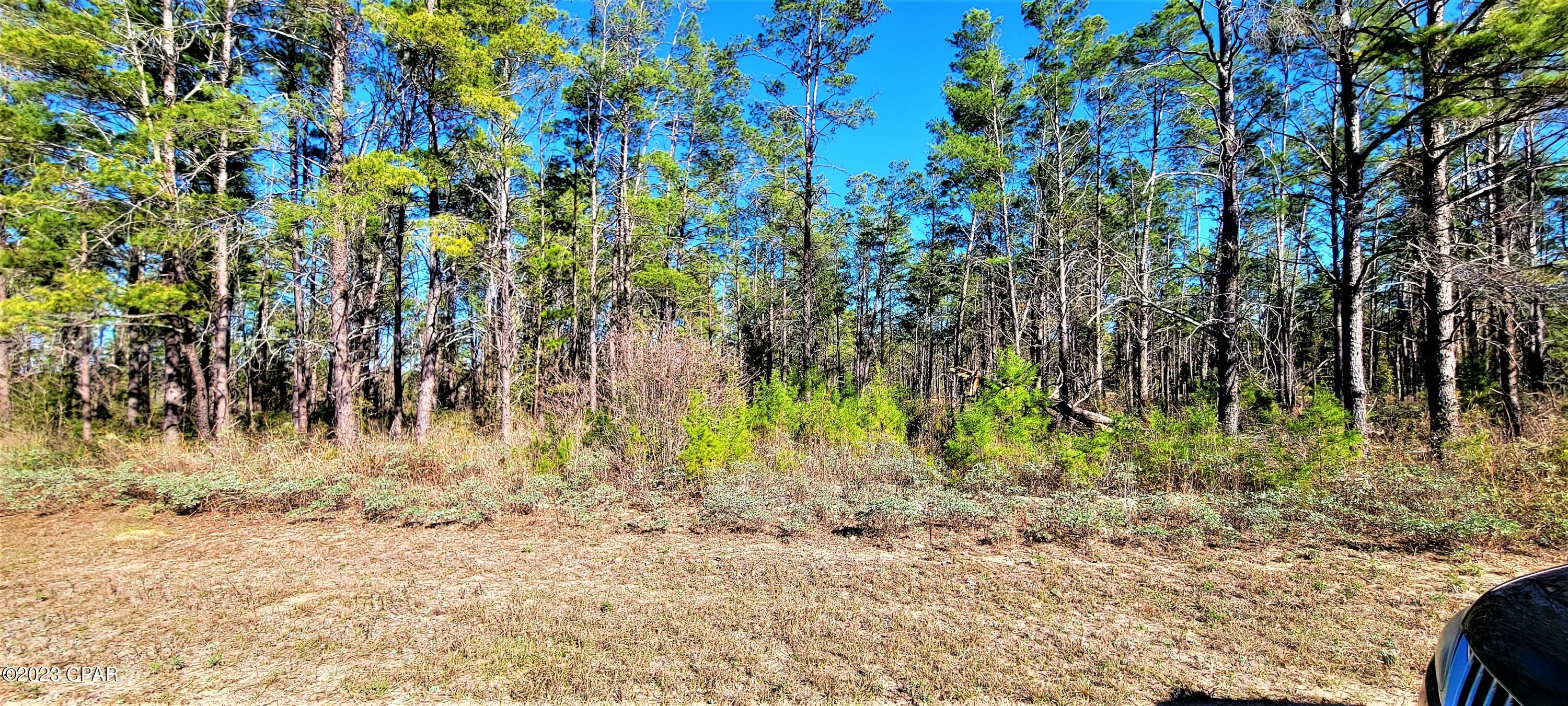 Long Lake Ridge - Land