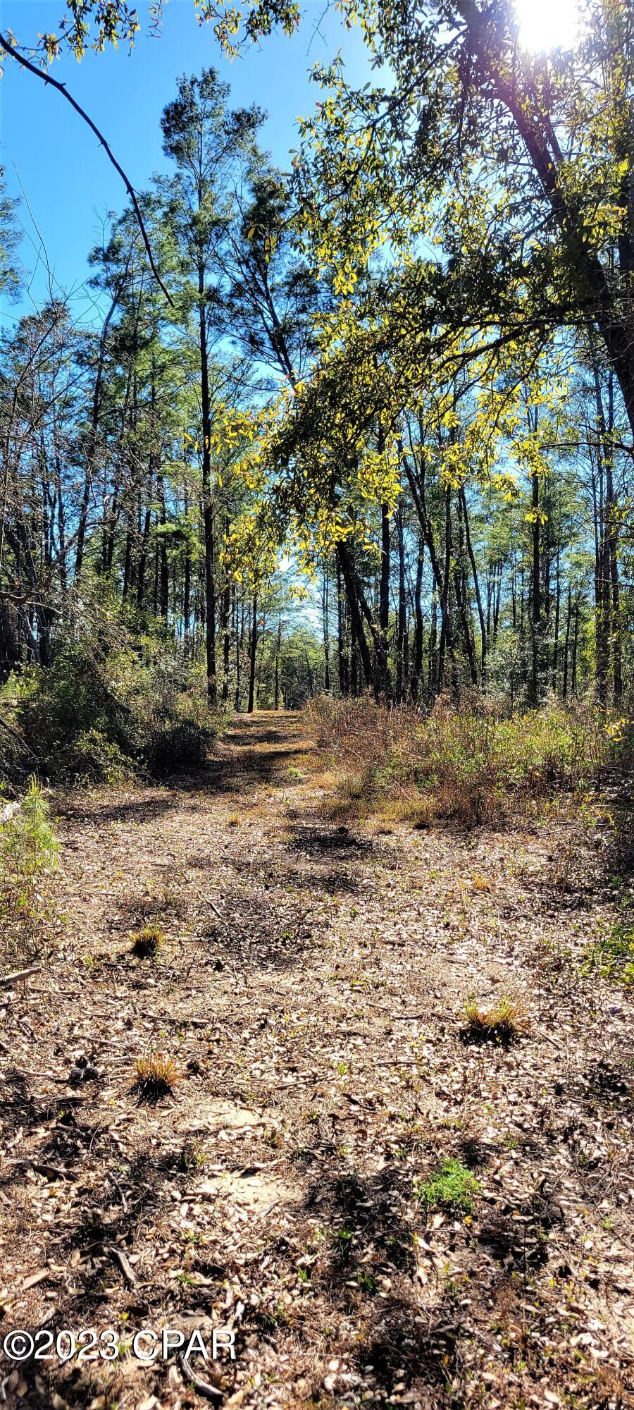 Long Lake Ridge - Land