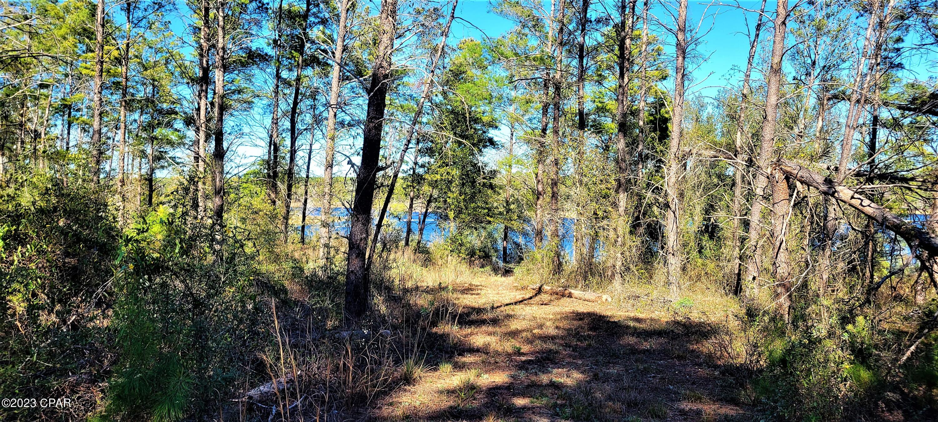 Long Lake Ridge - Land